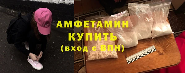 прущие крисы Ельня
