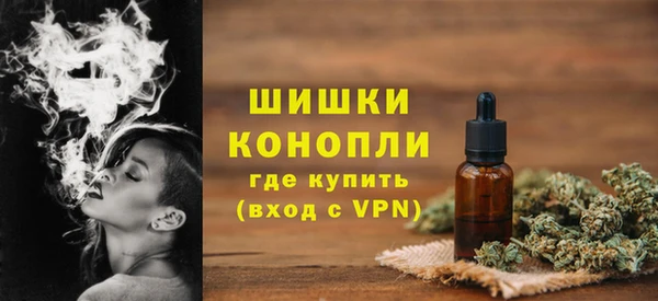 индика Елабуга