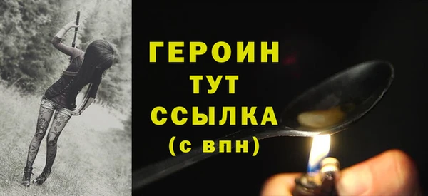индика Елабуга