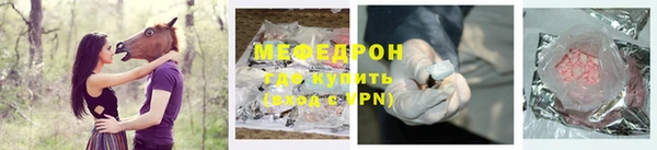 индика Елабуга
