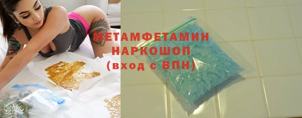 индика Елабуга
