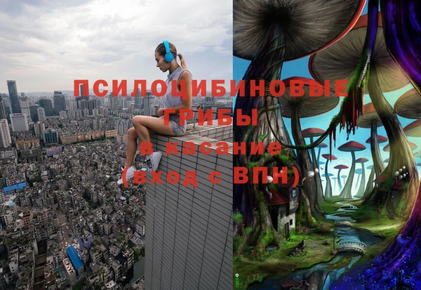 прущие крисы Ельня