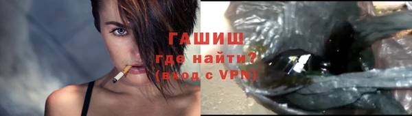 индика Елабуга