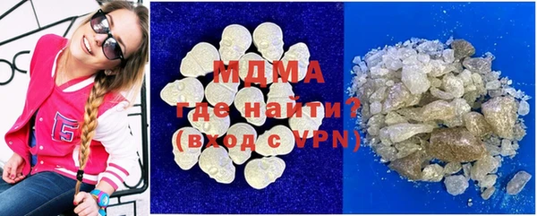 индика Елабуга