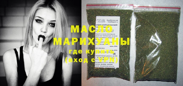 индика Елабуга