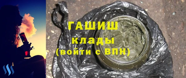 индика Елабуга