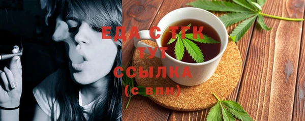индика Елабуга